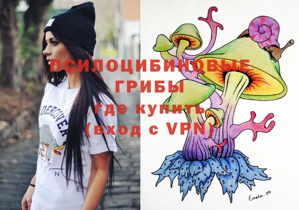 экстази Михайлов