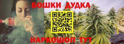индика Заволжье
