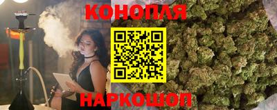 индика Заволжье