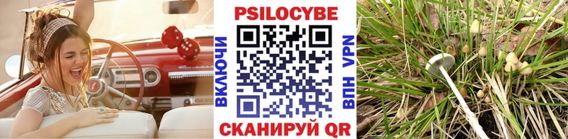 Галлюциногенные грибы Magic Shrooms  Новомосковск 