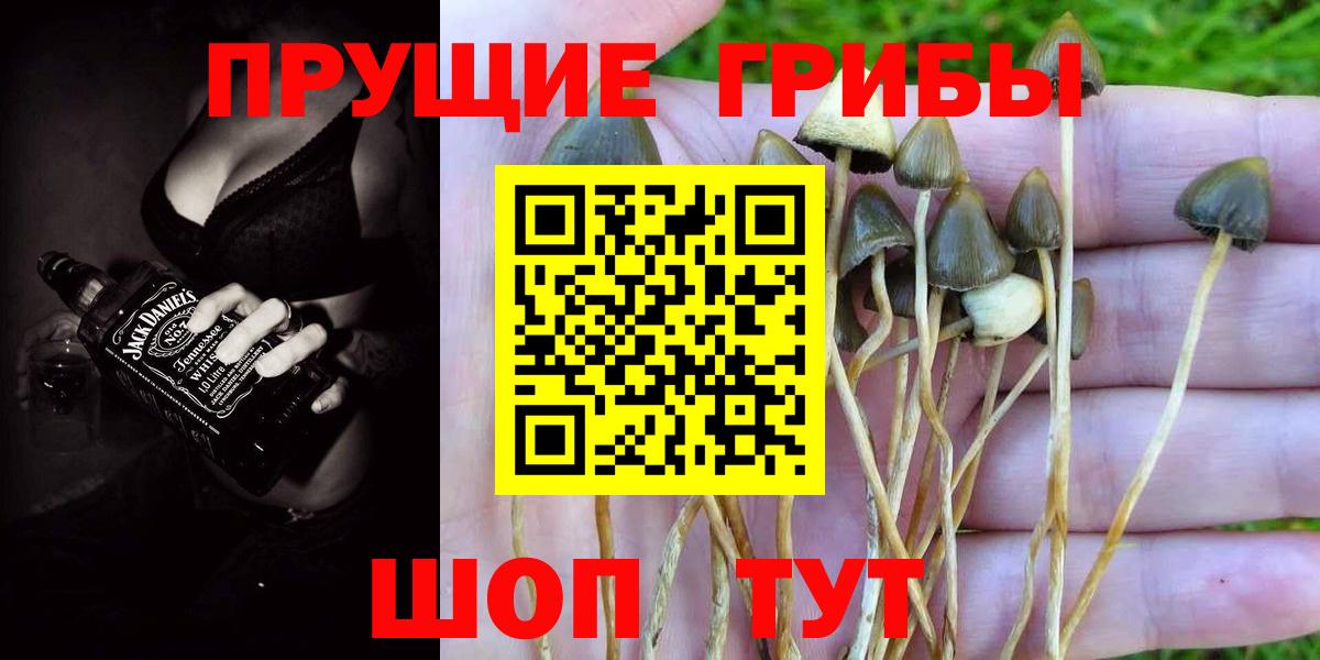 Галлюциногенные грибы мицелий  Псилоцибиновые грибы ЛСД  Вход с VPN  Новомосковск 