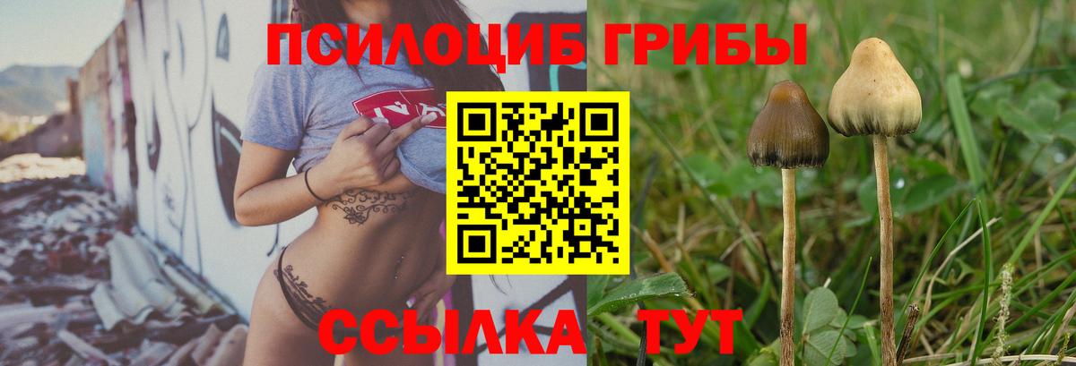 Псилоцибиновые грибы Magic Shrooms Новомосковск