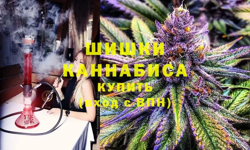 где купить наркоту  Новомосковск  мориарти состав  Конопля SATIVA & INDICA 